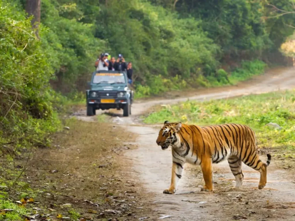 Jim Corbett Tour tour package